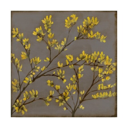 Trademark Fine Art Jennifer Goldberger 'Forsythia I' Canvas Art, 35x35 WAG03787-C3535GG
